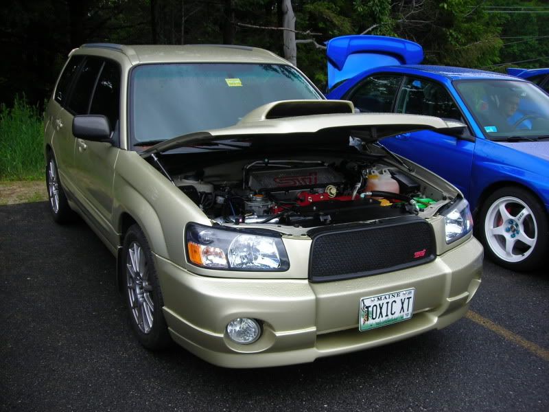 DSCN0862.jpg