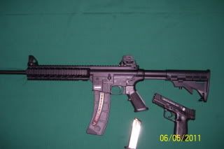 squirrelbrakesguns005.jpg
