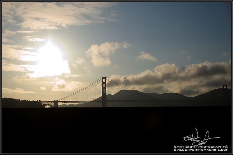 DSC_3977R.jpg
