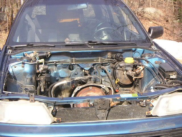 Picture004.jpg