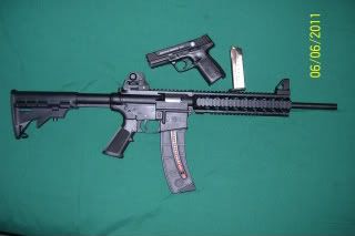 squirrelbrakesguns010.jpg