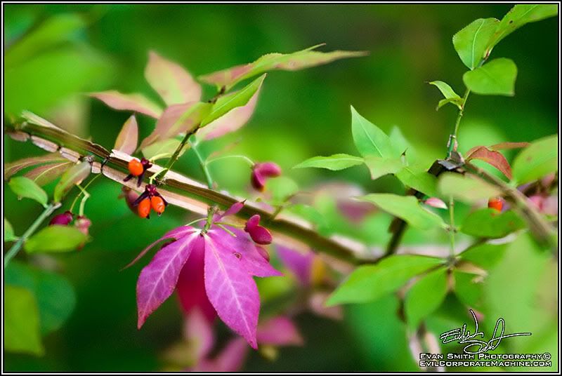 DSC_4708R.jpg