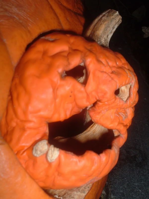 DSCF4248.jpg
