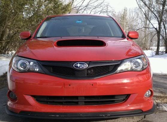 wrx10.jpg