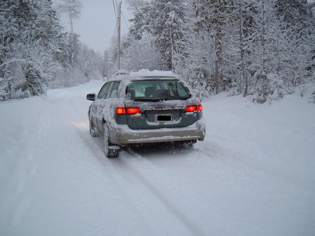 snowback2.jpg
