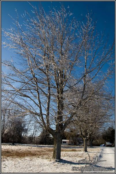 DSC_6840R.jpg
