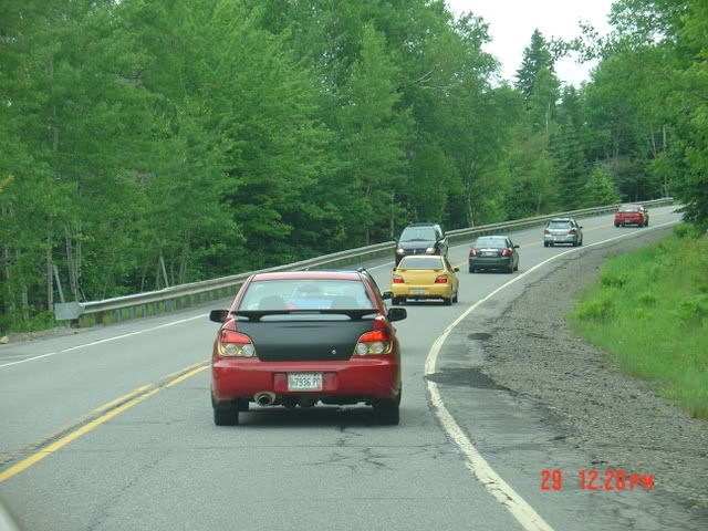 DSC01159.jpg