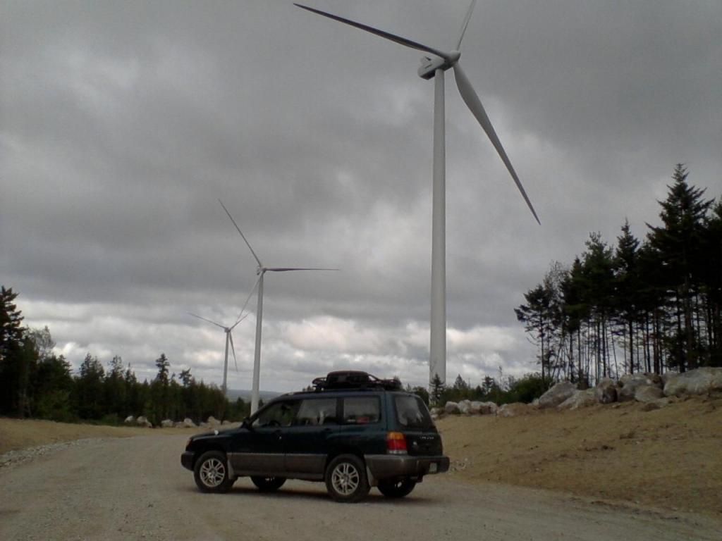 201167_363106257096868_1542964738_o.jpg