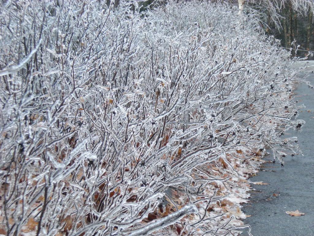 IceStorm08014.jpg
