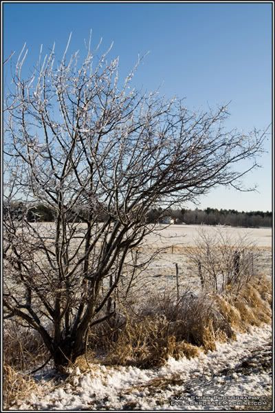 DSC_6849R.jpg