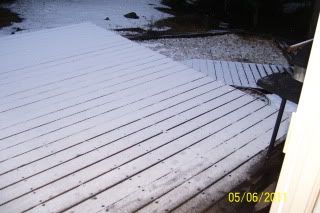 Snow003.jpg