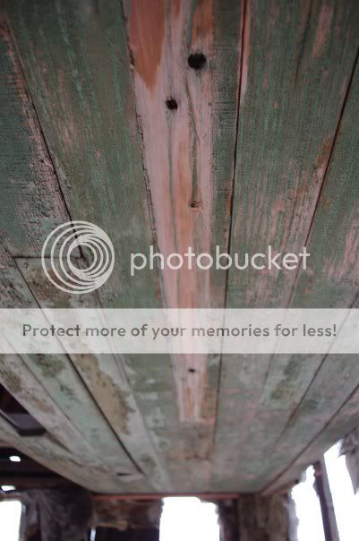 pentax3.jpg