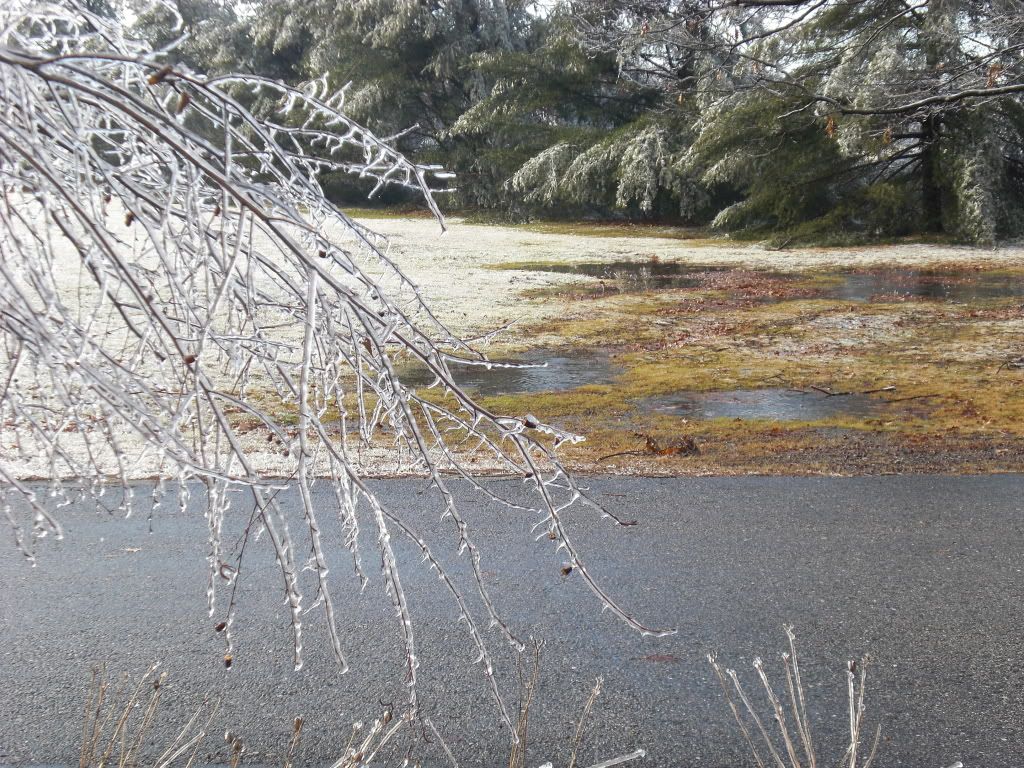 IceStorm08016.jpg