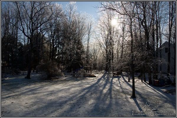 DSC_6819R.jpg