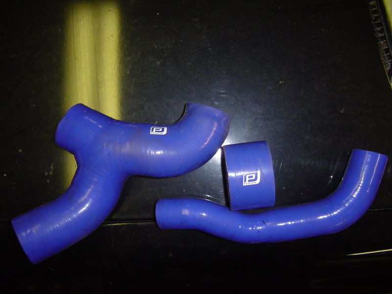 12508_03.jpg