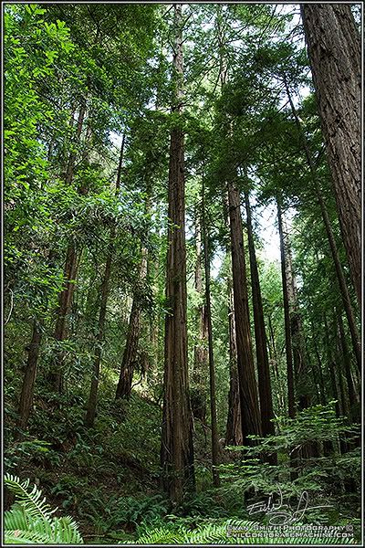 DSC_3530R.jpg