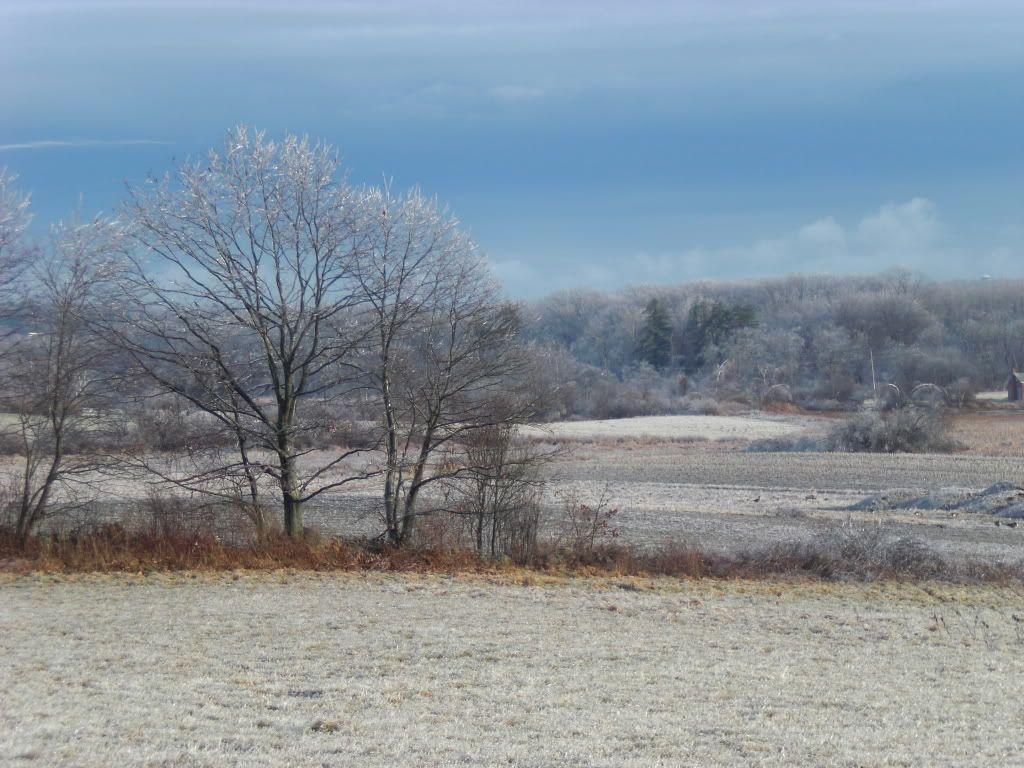 IceStorm08030.jpg