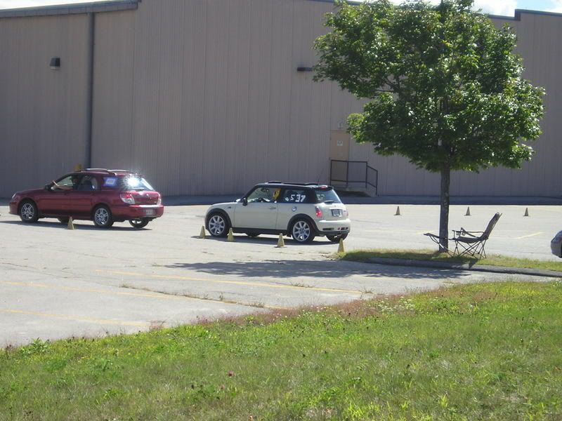 P1010006-1.jpg