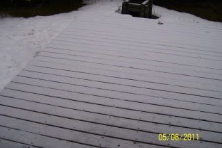 Snow004-1.jpg