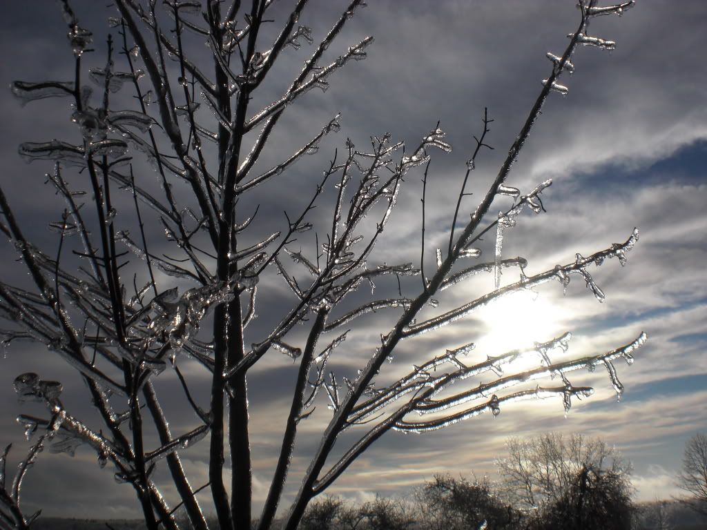 IceStorm08024.jpg