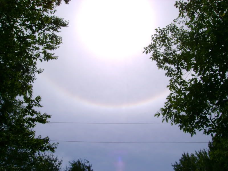 DSC00257.jpg