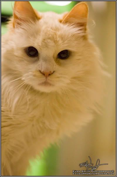 DSC_0061R.jpg