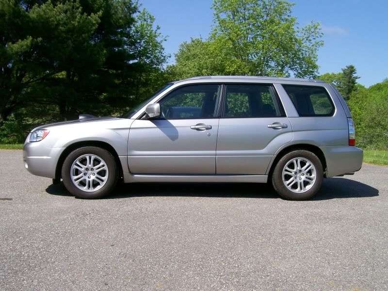 fozzy004-1.jpg