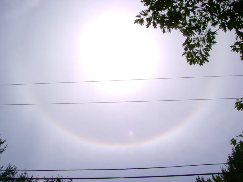 DSC00255.jpg