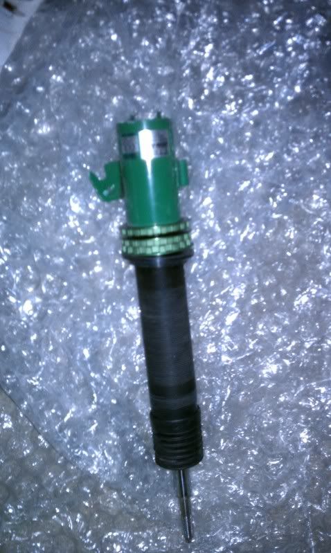 IMAG0224.jpg