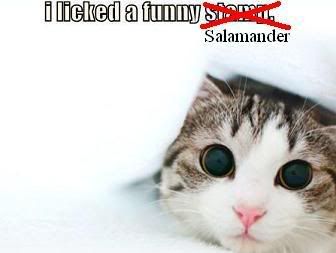funnystamp.jpg