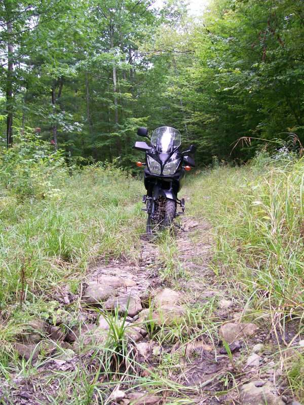 RomeRdtrailrocks.jpg