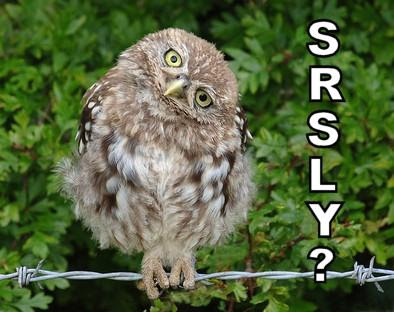 srsly-40514.jpg