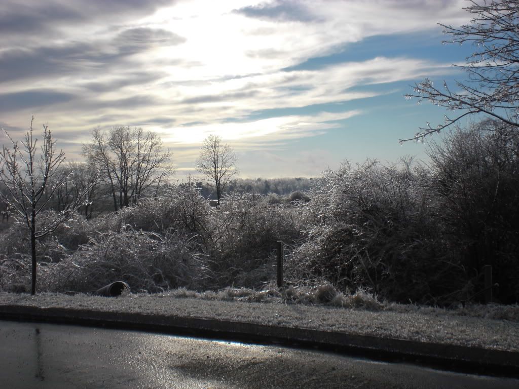 IceStorm08020.jpg