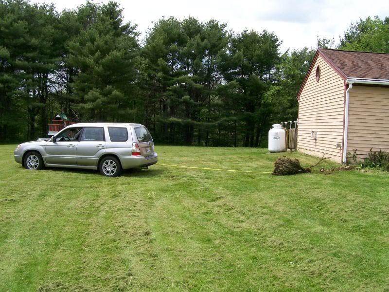 fozzy008-1.jpg