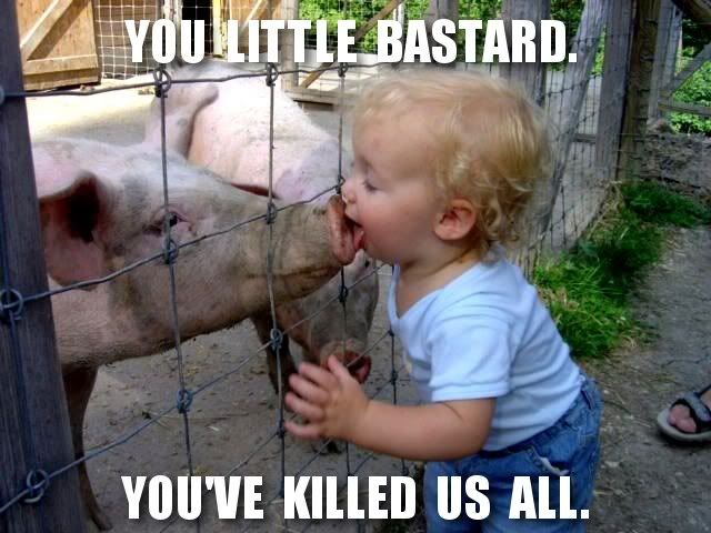The_source_of_swine_flu.jpg
