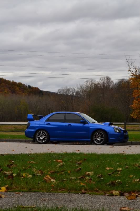 DSC_1062FB.jpg