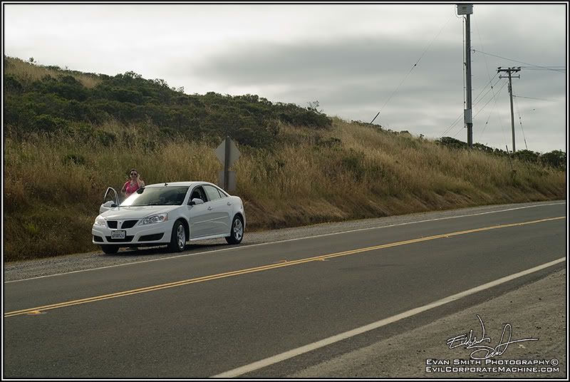 DSC_3513R.jpg