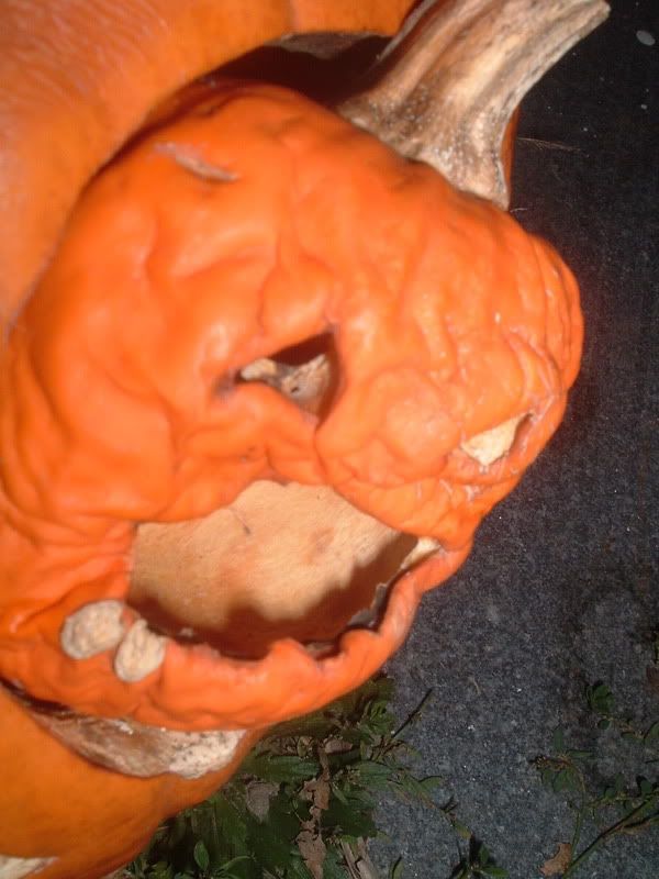 DSCF4247.jpg