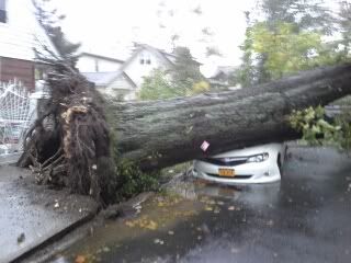 20121029_171649.jpg