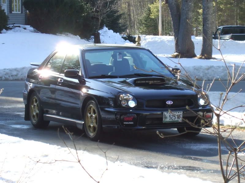 DSCF1800.jpg