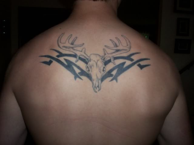 000_0386.jpg