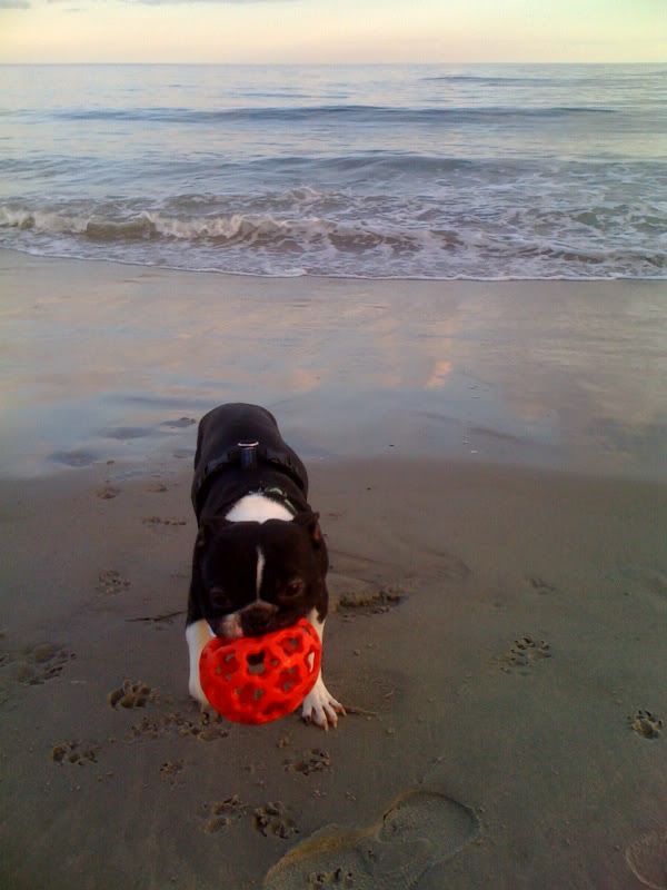 beach2.jpg