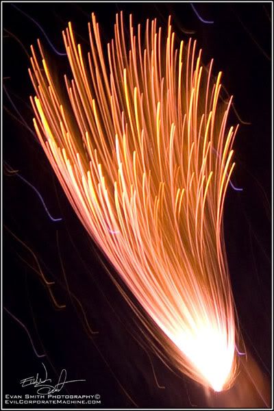 DSC_6590R.jpg