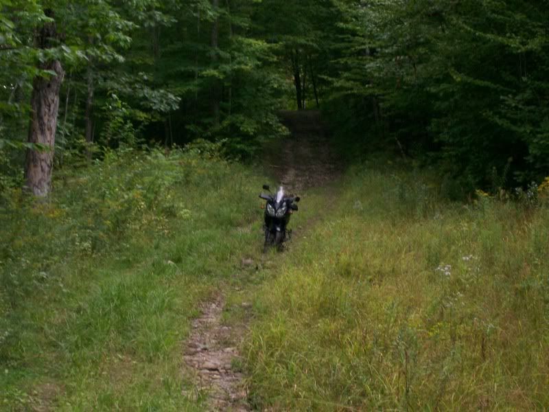 OldRomeRdtrail.jpg