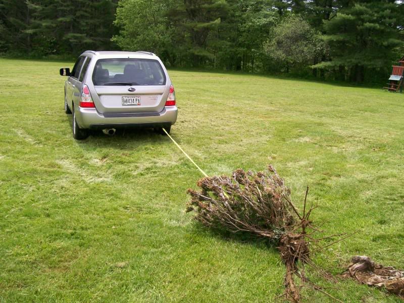 fozzy007-1.jpg