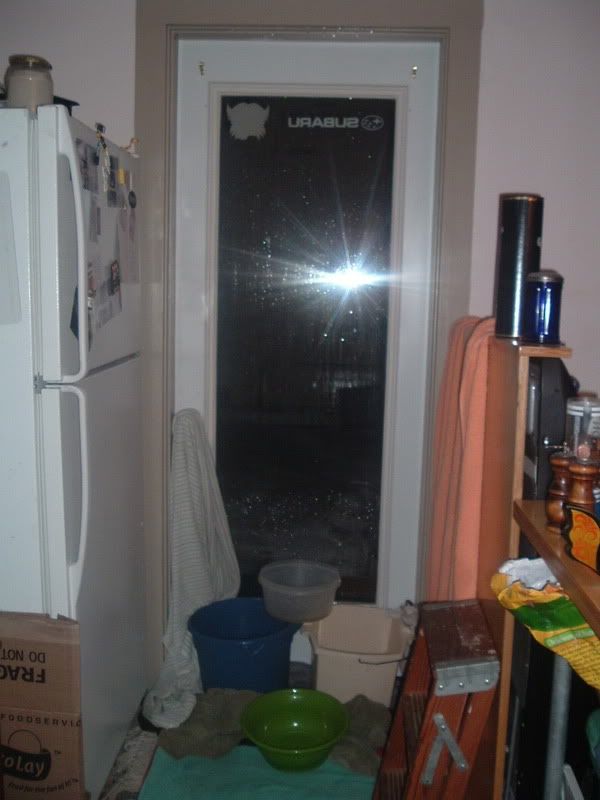 DSCF4389.jpg