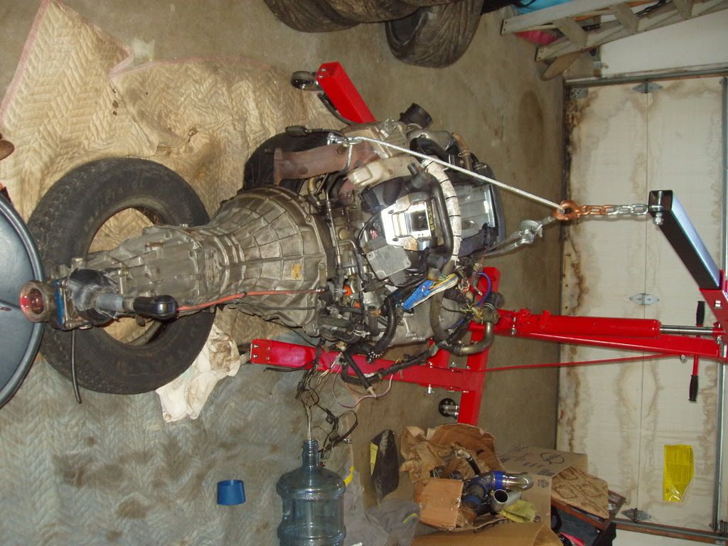 P1010011.jpg