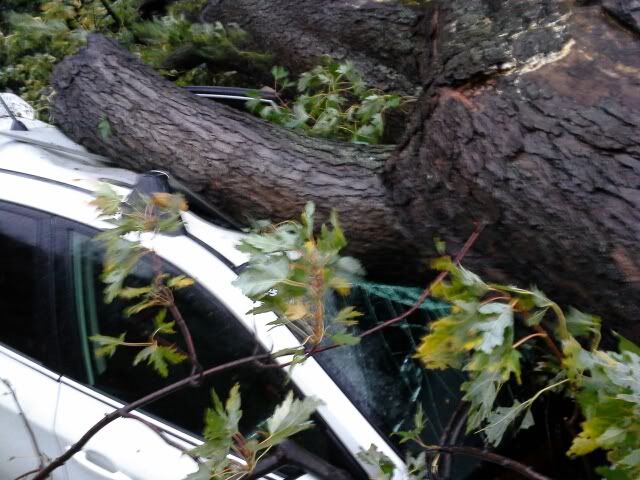 20121029_171713.jpg