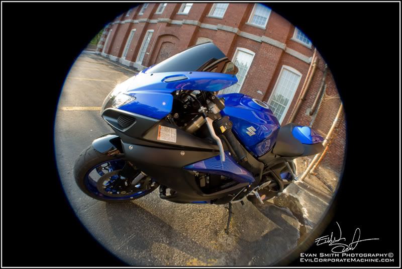 DSC_3349R.jpg