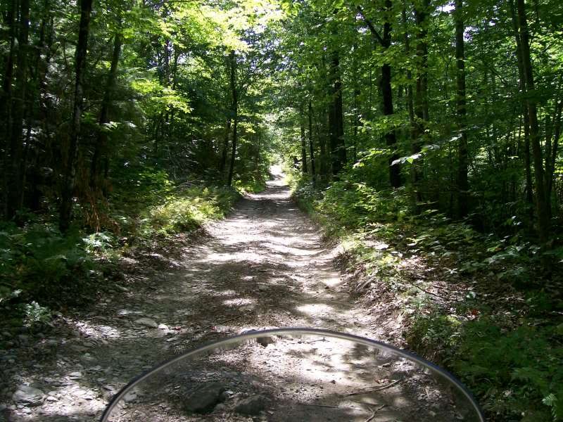 crockeraveandblueberryfield006.jpg